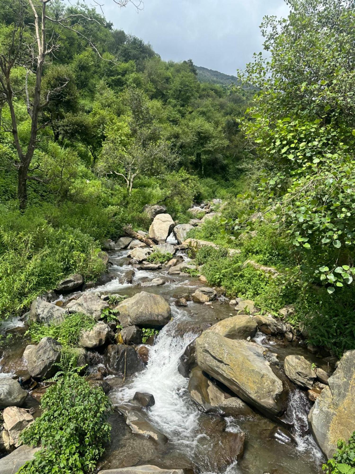 Deodar Village Homestay Devalsari Masuri Exterior foto