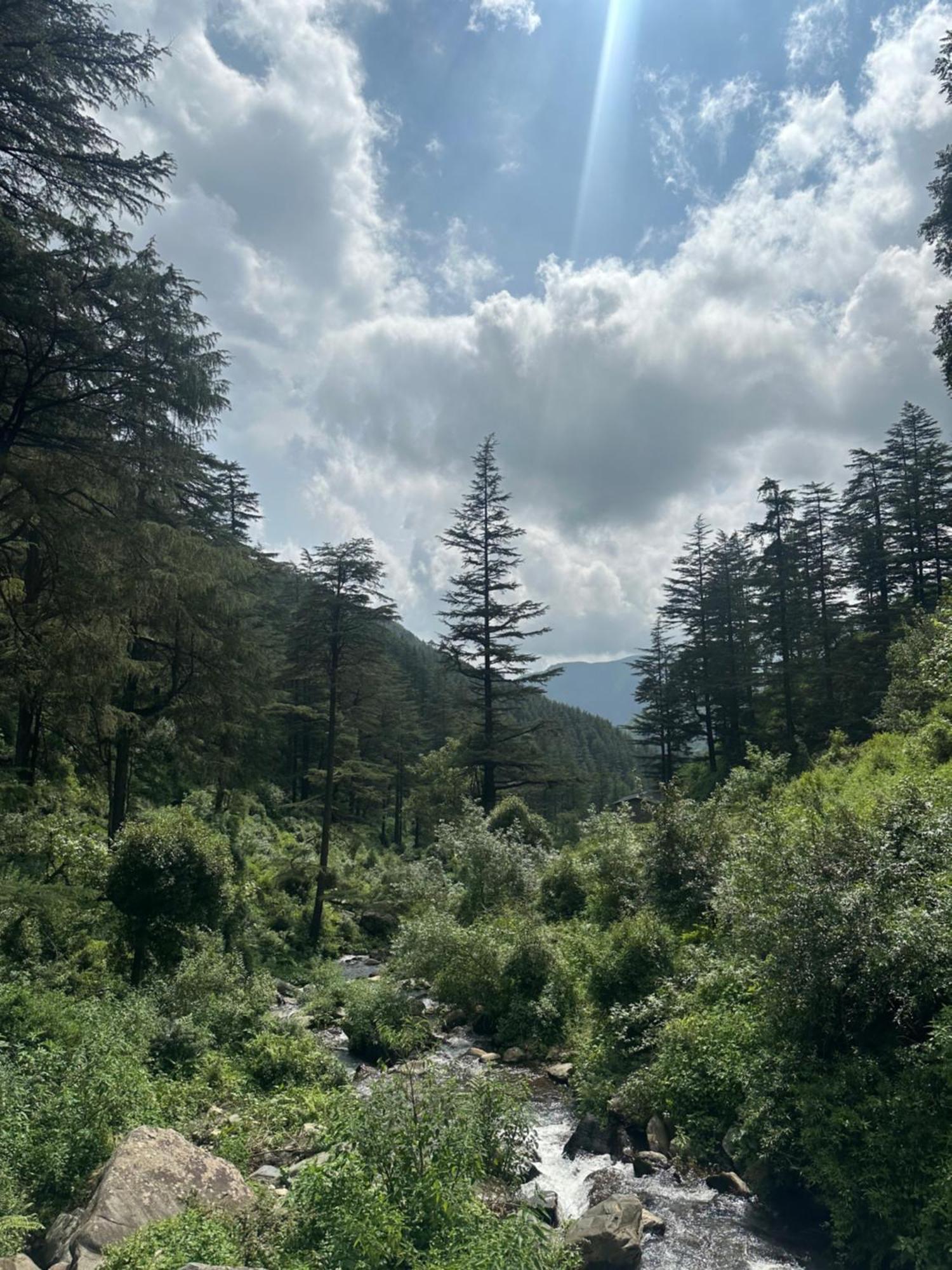 Deodar Village Homestay Devalsari Masuri Exterior foto